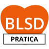 BLSD - pratica